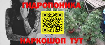 винт Новокубанск