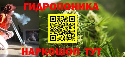 амф Обь