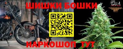 амф Обь