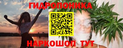 apvp Обнинск