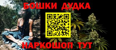 амф Обь