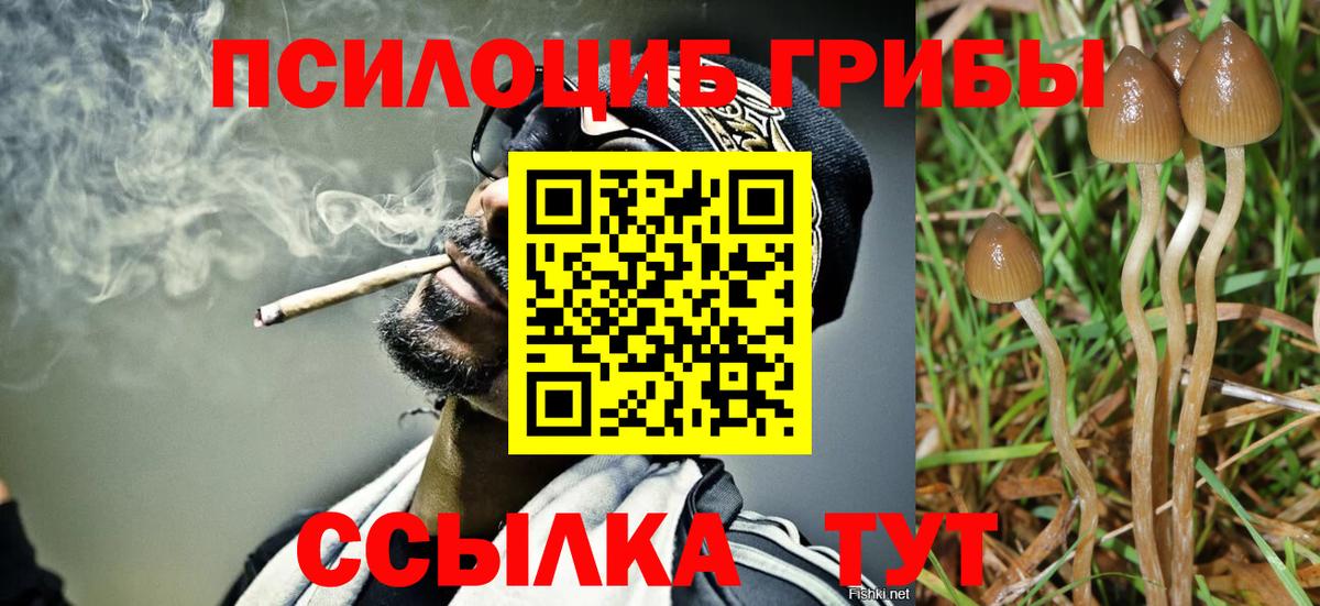 Галлюциногенные грибы Magic Shrooms  Вход с VPN  продажа наркотиков  Туймазы  Псилоцибиновые грибы Psilocybe 