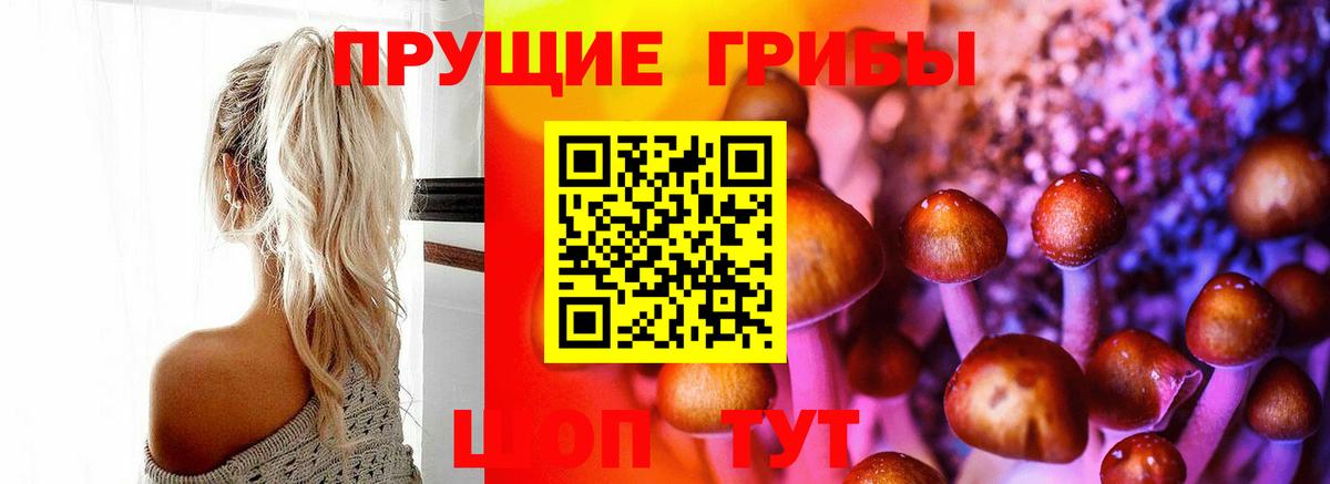 Псилоцибиновые грибы ЛСД Туймазы